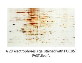 KIT FOCUS FASTSILVER 5 MINI GEL F/ELP