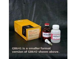 PROTEASOME-GLO CASPASELIKE ASSAY 10ML