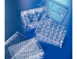 ATTCHMNT CLUSTR,24WL LO TC24CS