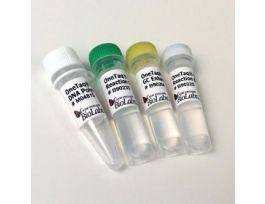 ONETAQ HTSTRT DNA POLYMRAS 200