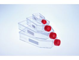 FLASK TC 50ML FILTER-CAP CS200