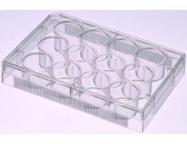 VWR PLATE TISSUE CULTURE 12 WELLS STERIL