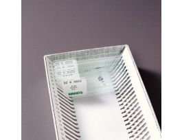 AMITOSIS MITOSIS & MEIOSIS SET OF 6