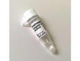 PYROPHOSPHATASE, 10U