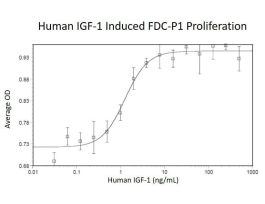 100-34AF-5MG HUMAN IGF-1 (AF)