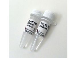 TAQ 5X MASTER MIX 500 RXN