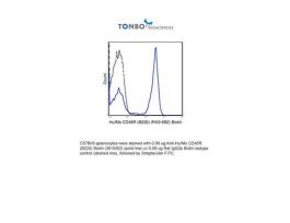 BIOTIN ANTI-HUMAN/MOUSE CD45R 100UG