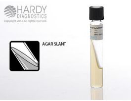 PHENYLALANINE AGAR SLANT PK20