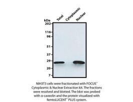 FEMTOLUCENT PLUS CHEMLMNSCT 500ML