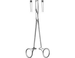 ALLIS-JUDD TISSUE FCP 6IN