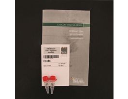 NEBNEXT ULTRA LIGATION MOD