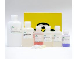 QUICK-DNA MINIPREP PLUS KIT (200 PREPS)