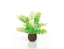 BIORB AQUATIC CAULERPA GREEN CS