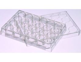 VWR PLATE TISSUE CULTURE 24 WELLS ST