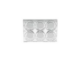 Permeable Supports, 6-Cluster Plate/0.4um/PC membrane, 24/Cs