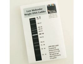 LMW DNA LADDER - 250 UG