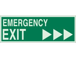 BradyGlo EMERGENCY EXIT Sign, 5 " H x 14 " W x 0.063 " D, Green on Glow, Arrow Direction: Right