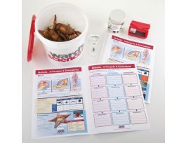 HANDS ON MOL ARTHRO ECHINO