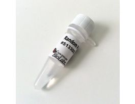 RANDOM PRIMER MIX-6 NMOL