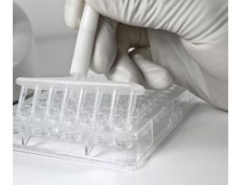 SPARE MICROBIOLOGOCAL FILTER