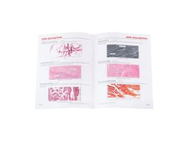 GENERAL MUSCLES TISSUE SET/10