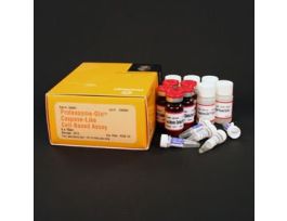 PROTEASOME-GLO CASPASELK CELL ASY 5X10ML