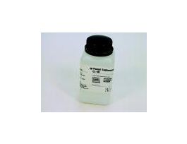 OCTYL-SEPHAROSE CL-4B 90UM 200ML