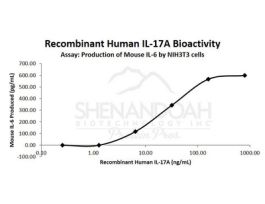 HUMAN IL-17A (CTLA-8) 2 5UG