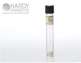 NALC POWDER 250MG TUBE BX20