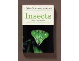 BOOK INSECTS (GOLDEN GUIDE)