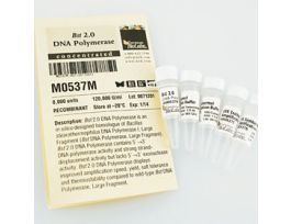 BST 2.0 DNA POLYMERASE (120 00