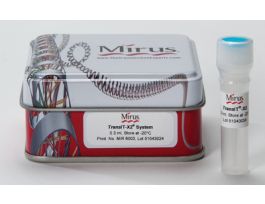 TRANSIT-X2DYNAMIC SYSTEM 300UL