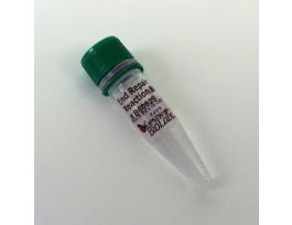 NEBNEXT REACT BUFFER2.0ML