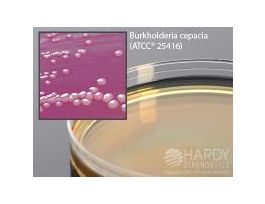 PSEUDOMONAS CEPACIA AGAR PK10