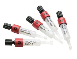 HITRAP CAPTO IEX SELECTION KIT