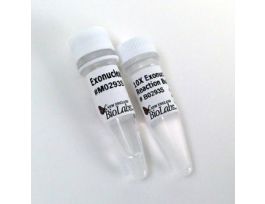 EXONUCLEASE I (E. COLI) - 15,0