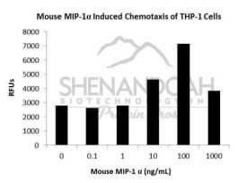 200-42-500UG MOUSE MIP-1 ALPHA / CCL3