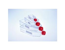 FLASK TC FILTER CP 650ML CS40