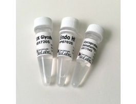 Endo Hf 500,000 units, Endoglycosidase