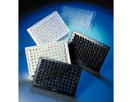 PLATE 96WL 205UL NBS BLK CS100