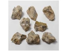 WARDS ESSENTIALS PEGMATITE PK/8