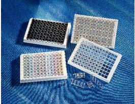 STRIP,FB,M-BNG,8WL,BULK,CS100