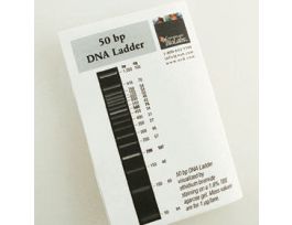 50 BP DNA LADDER - 500 UG