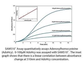 KIT METHYLTRANSFERASE SAM510 100ASSAYS