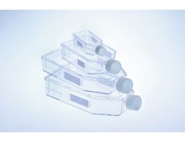 FLASKT182 650ML PLUG CAP CS40