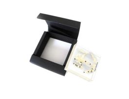 EMBEDMENT TOAD SKELETON