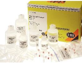 MAXI FAST-ION PLASMID KT