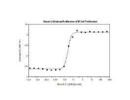 RECOM E.COLI MS IL-6 >/=95% 21.9 KDA 1MG