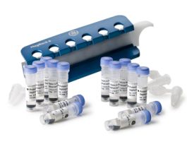 PROTEIN A MAG SEPHAROSE XTRA 5