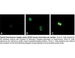KIT DETCN S-GLUTATHIONYLATED PRT 30 SAMP